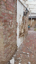 Rising damp affecting the base of a wall at Rosehill Homestead